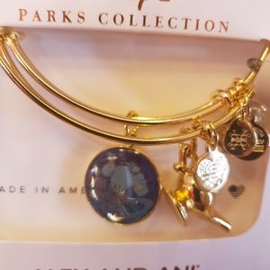 COPY - Disney Alex and Ani Aladdin Genie Bangle